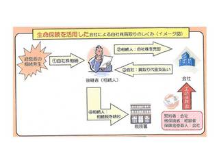 画像(自社株 2).jpg